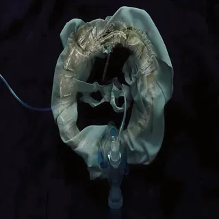 rs=w_1280 - 2025-11-30T125834.193