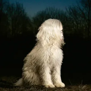 rs=w_1280 - 2025-11-30T141302.468